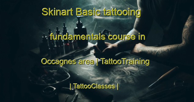 Skinart Basic tattooing fundamentals course in Occagnes area | TattooTraining | TattooClasses | SkinartTraining-France